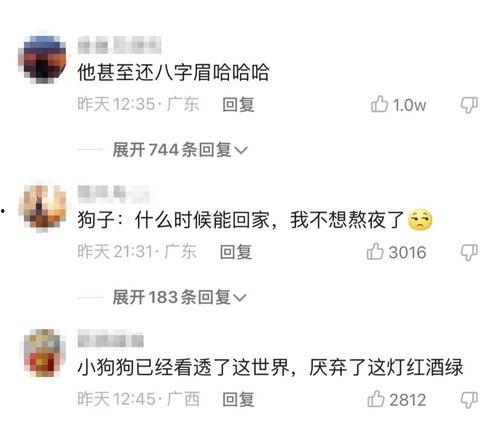 悲喜最新爆料图片壁纸,壁纸中的情感波澜